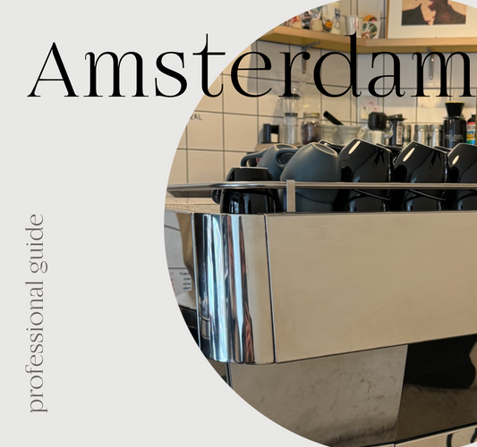 Amterdam coffee guide