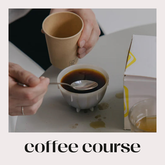 Coffee course